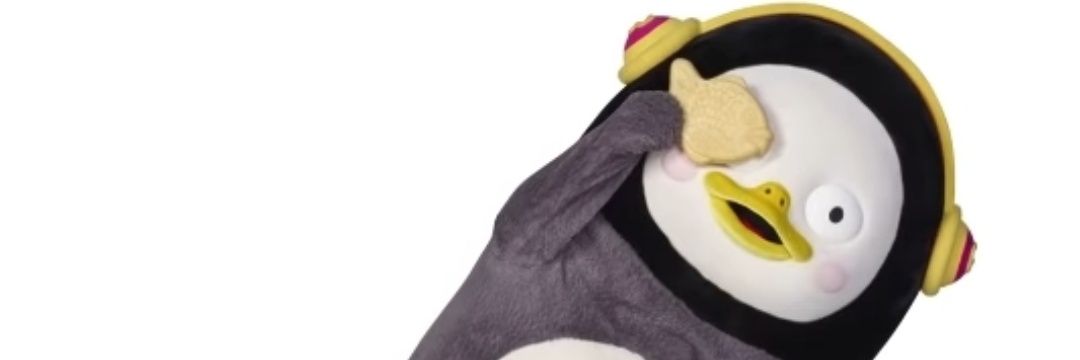 공노n년차🦄 banner