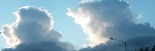 wharfing Profile Banner