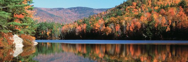 FreeStatePete Profile Banner