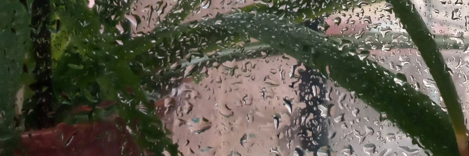 FlorDeIdeas's profile banner image