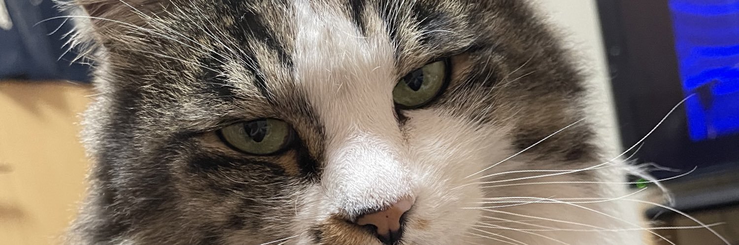 4D1BodFDExaQSvd's profile banner image