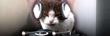 SSaldias_'s profile banner image