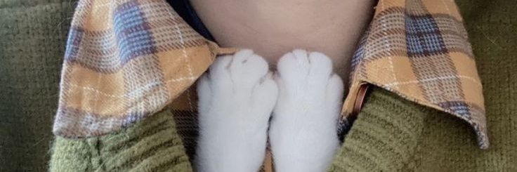 نَهان's banner