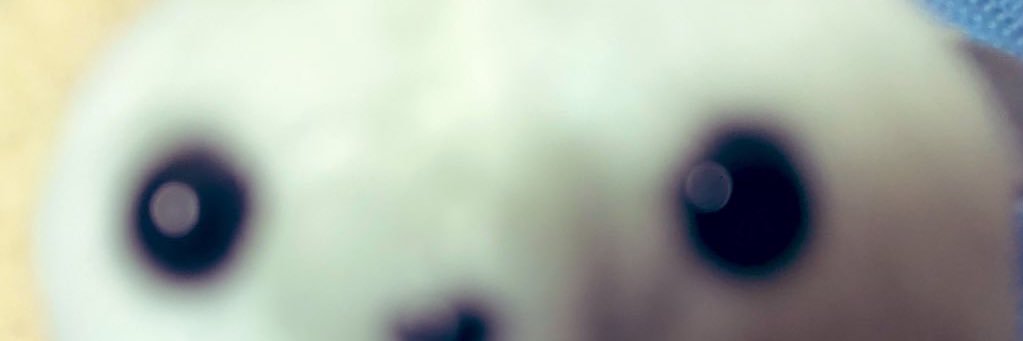 （（たろ））'s banner