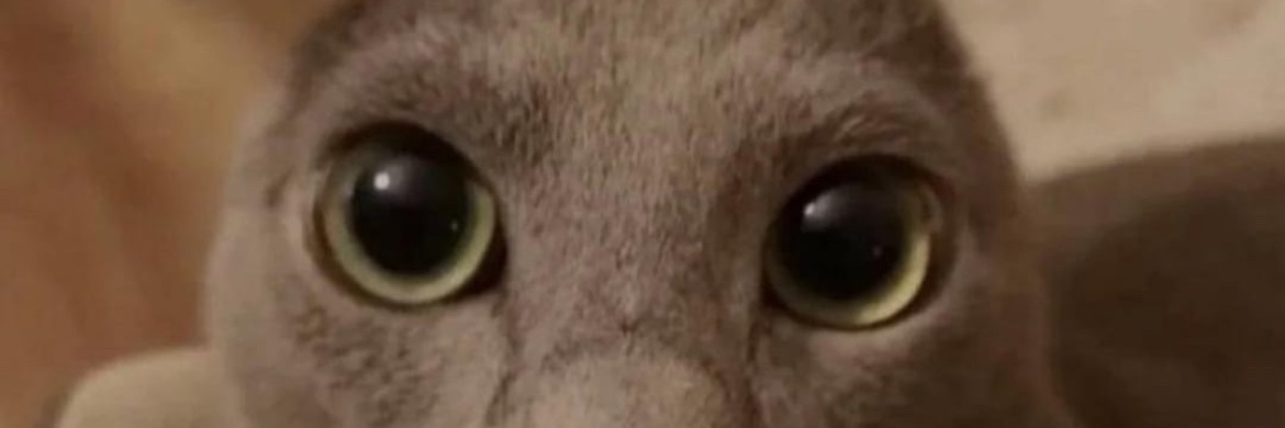 Dadliker banner