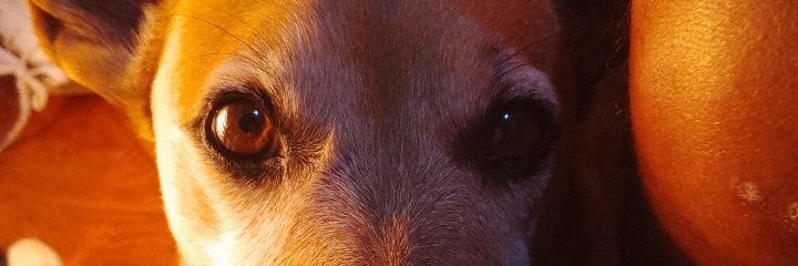 Johaaarce7's profile banner image