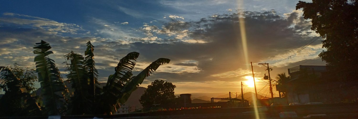 miraandal's profile banner image
