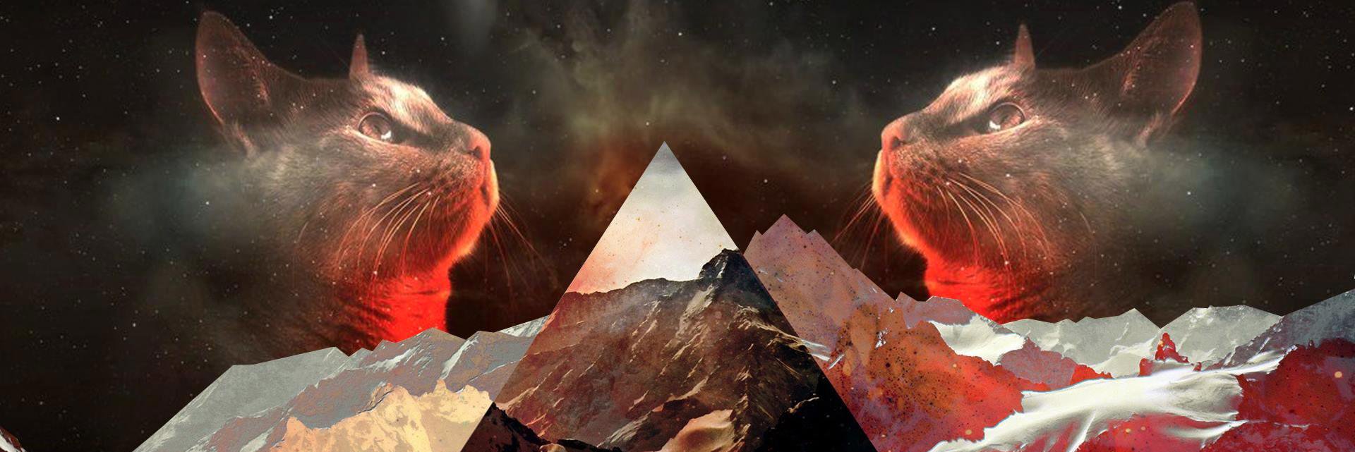 SteveSchuitt's profile banner image