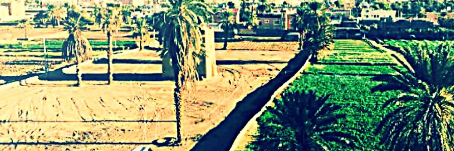 خالد مهدي ال زليق banner