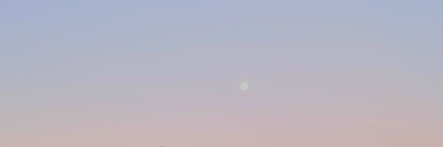 sepulcree's profile banner image