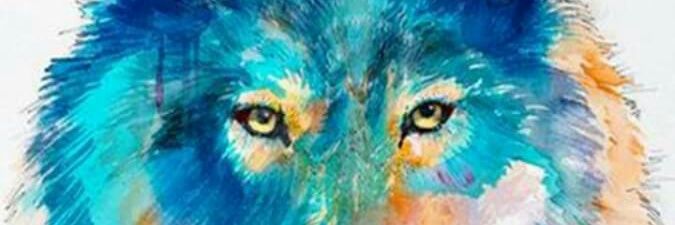 firsandhy's profile banner image