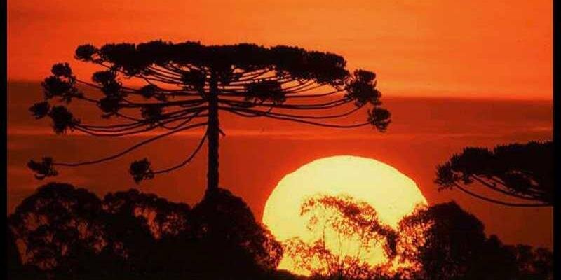 ValterCampa's profile banner image