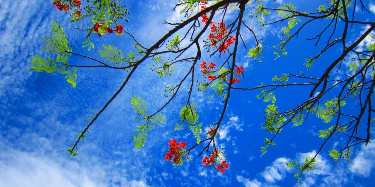 culutam's profile banner image