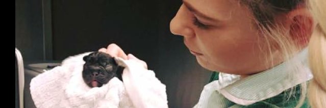 BethhhRoberts's profile banner image