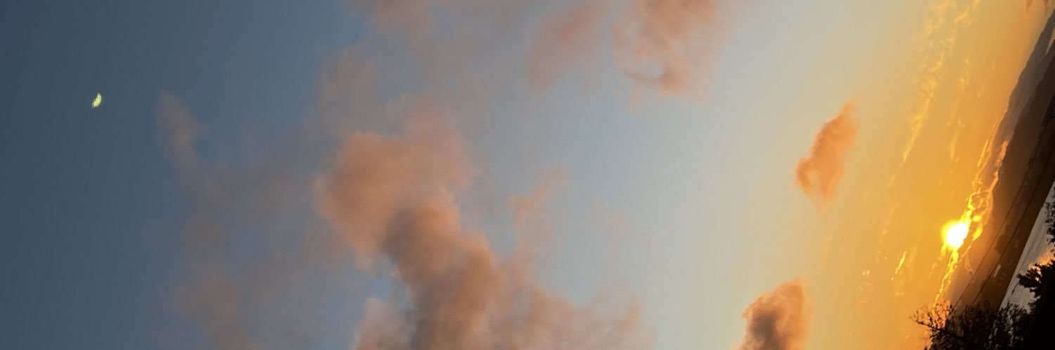 Dr. SSO | $stonedseaotter banner