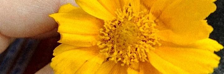 CelemRetegui's profile banner image