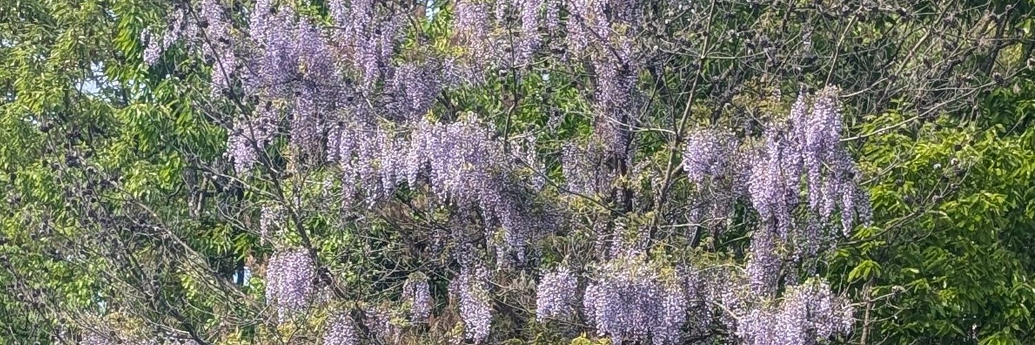 ひみつ banner