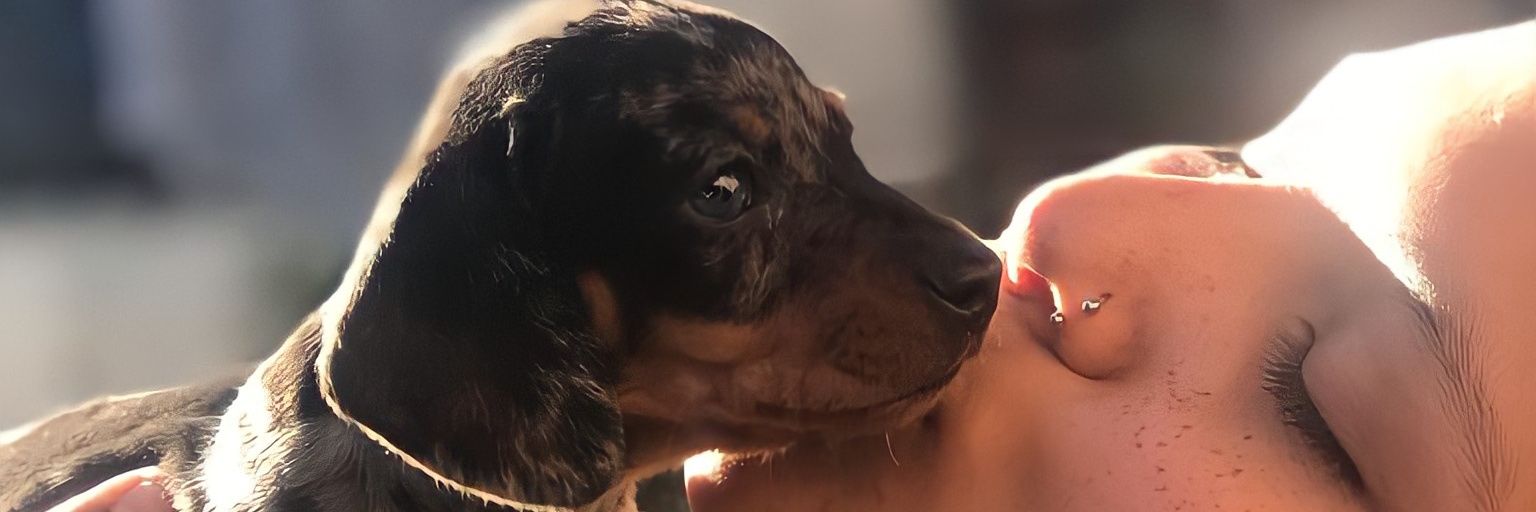 Julianasosa06's profile banner image