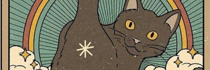drikabruzza's profile banner image
