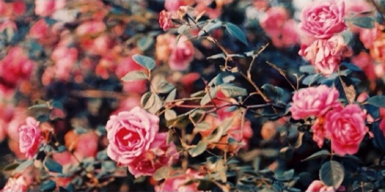 _jackieeperez's profile banner image