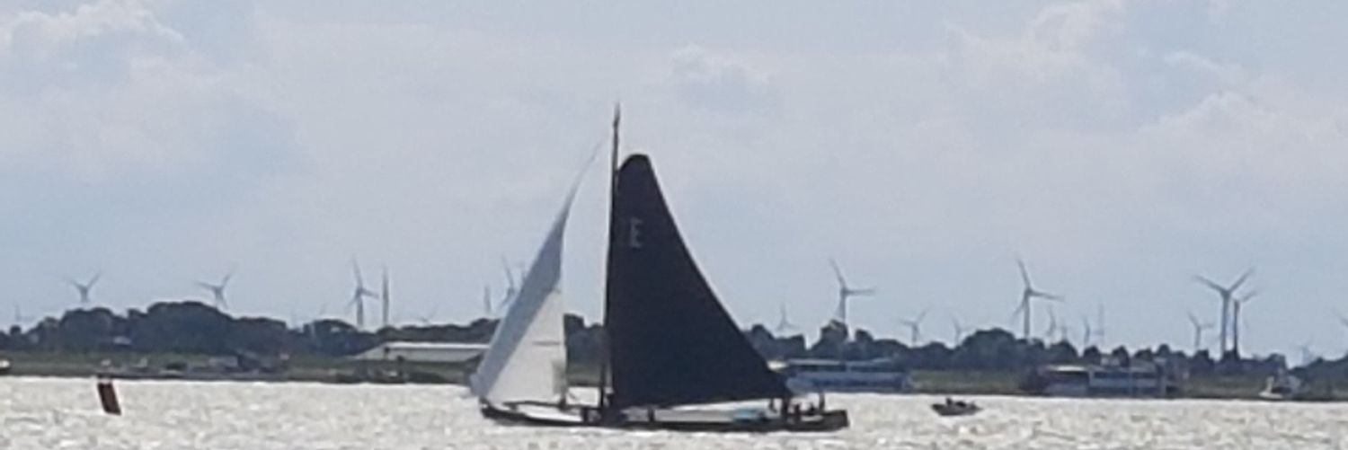 Bolfem 🐱🐈 banner