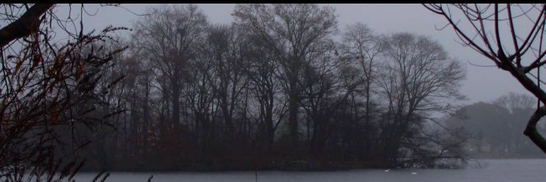 ✨ banner