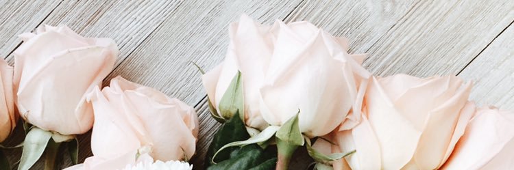 hootifulhoots's profile banner image