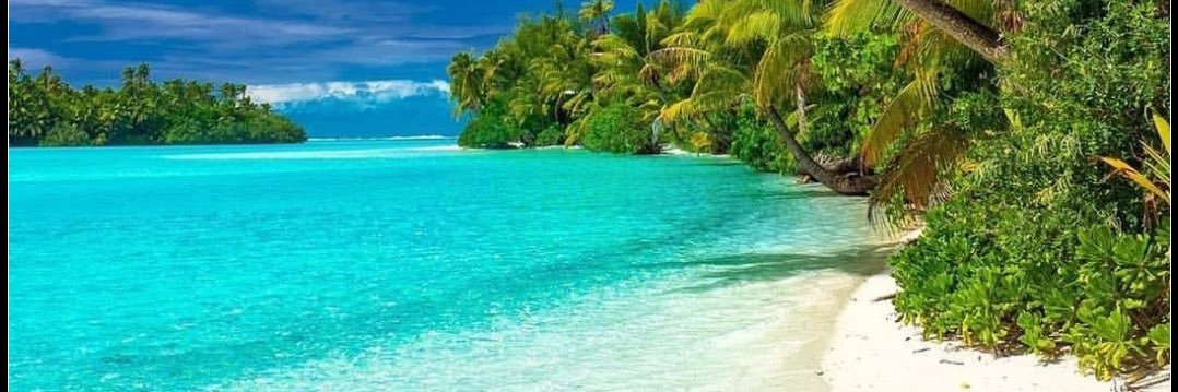 juju 🌴 banner