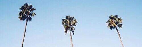 Lany06Me's profile banner image