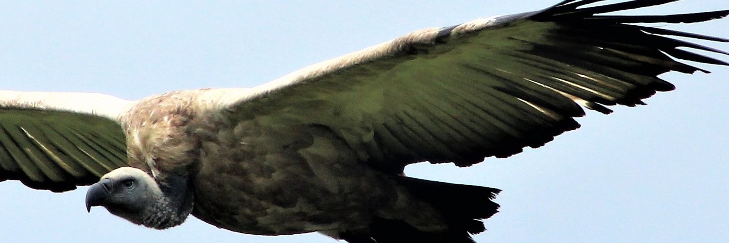 lungampumpula91's profile banner image