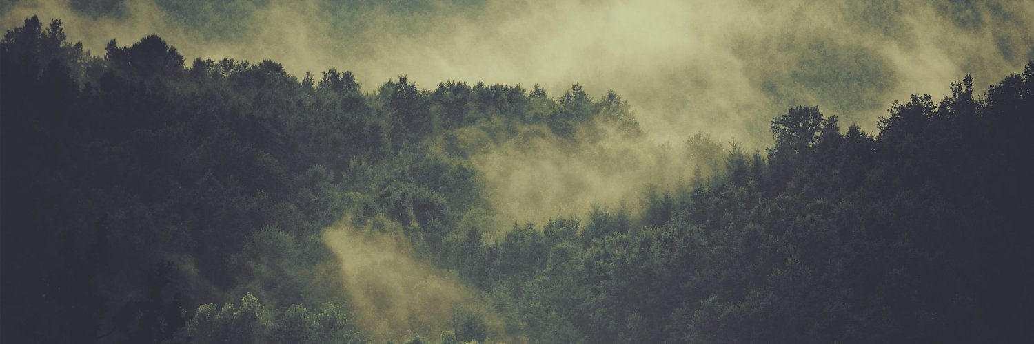 wolventoad's profile banner image