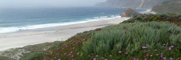 lstephano Profile Banner