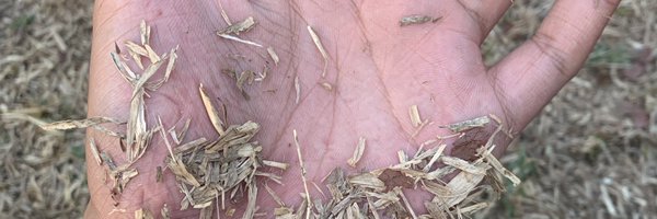 prinsipe4m4nt3 Profile Banner