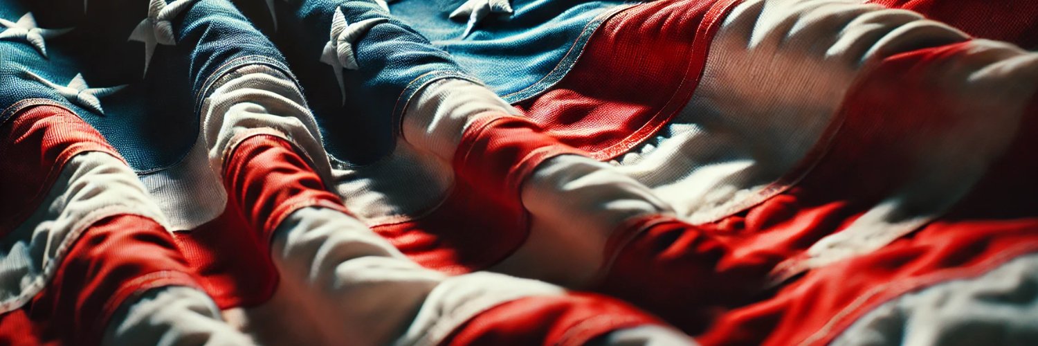 Offensive Patriot banner