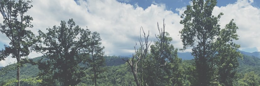 gracietbenn's profile banner image