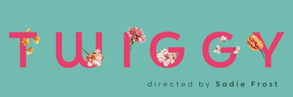 Twiggy_Doc Profile Banner