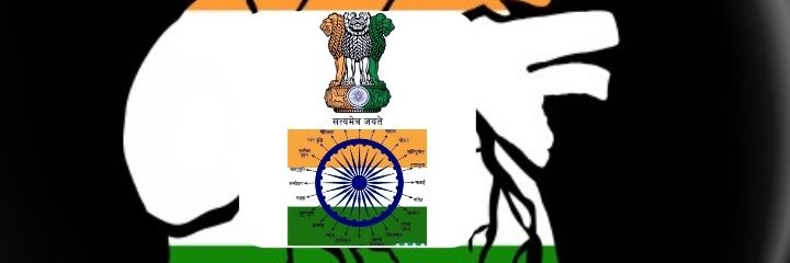 Voice-of-truth🇮🇳 banner