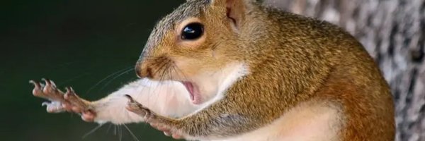 ExcuseMouse Profile Banner