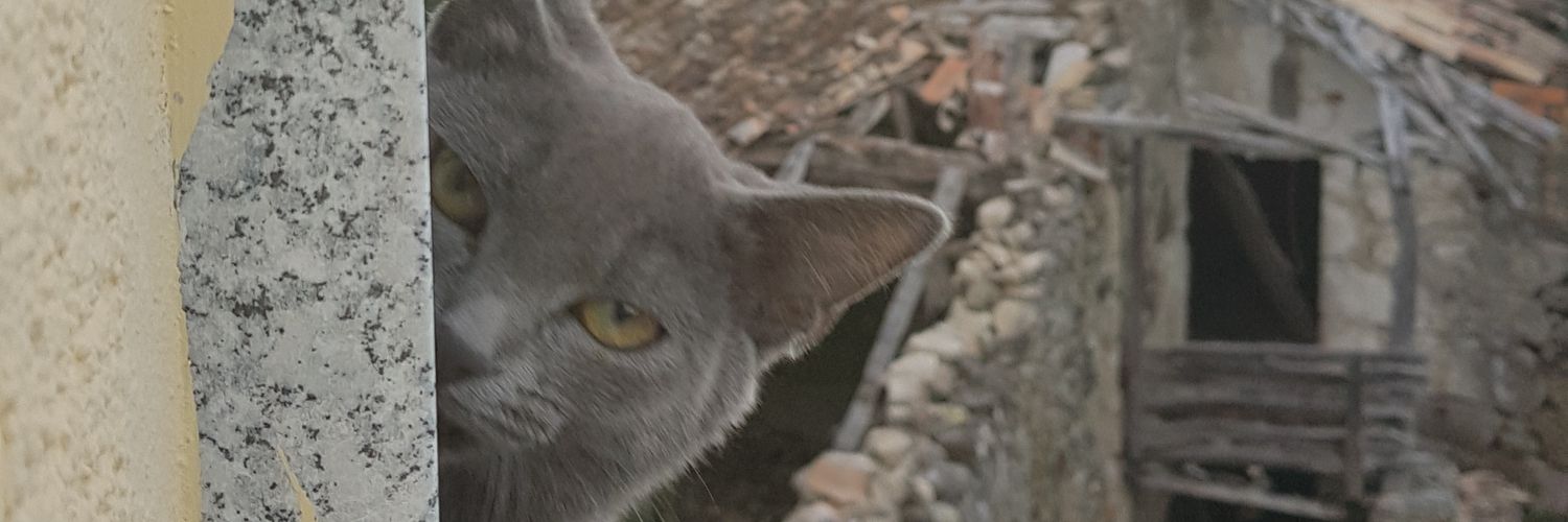 jarkendia's profile banner image