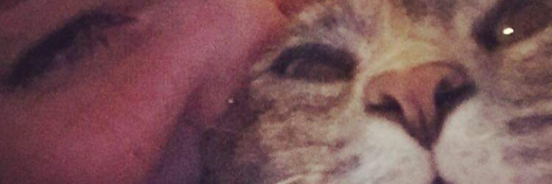 KTruslow's profile banner image