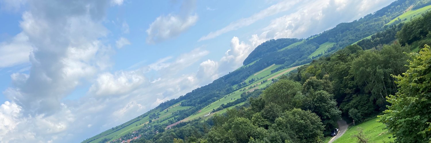 Ayla Cataltepe (MdL) banner