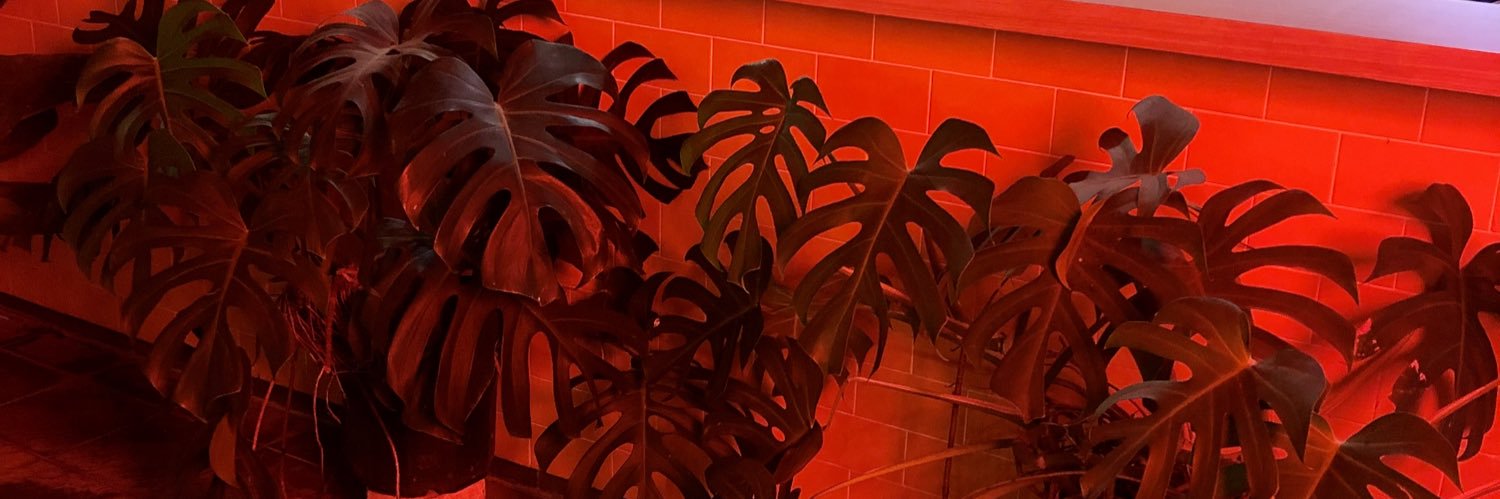 _1_1_9_5's profile banner image