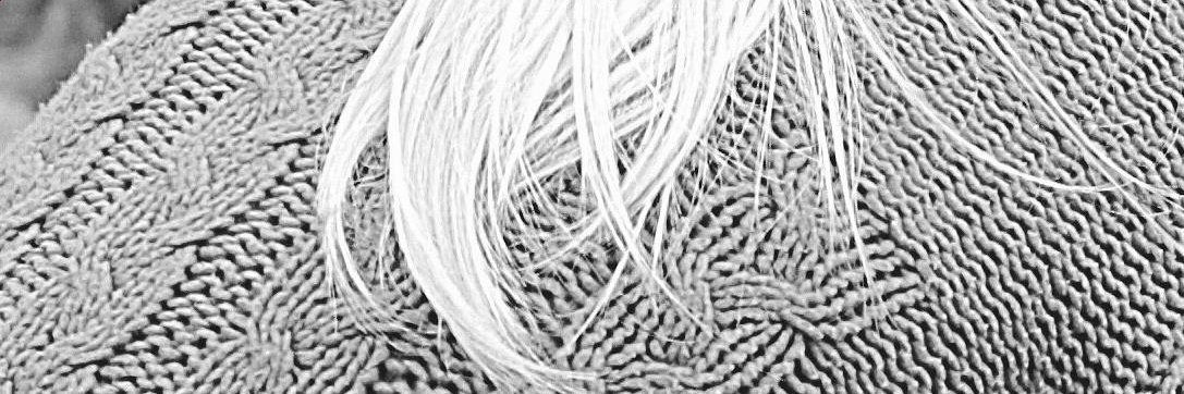 Superfi67936340's profile banner image
