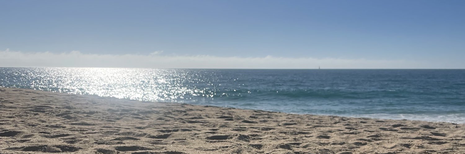 rflexdelrey's profile banner image