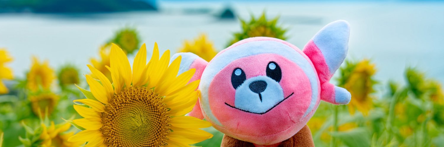 ʕ•ᴥ•ʔRai banner