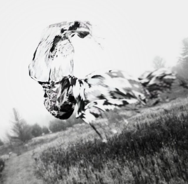 LidsFrias's profile banner image