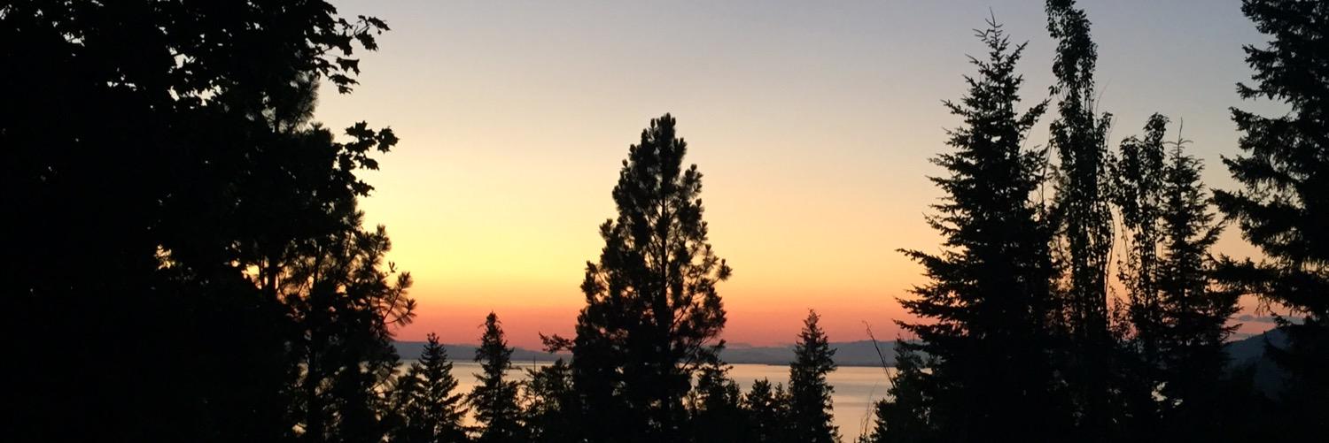 kziip's profile banner image