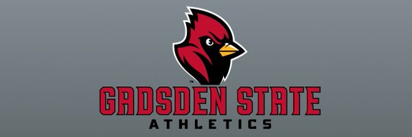 GStateBaseball Profile Banner