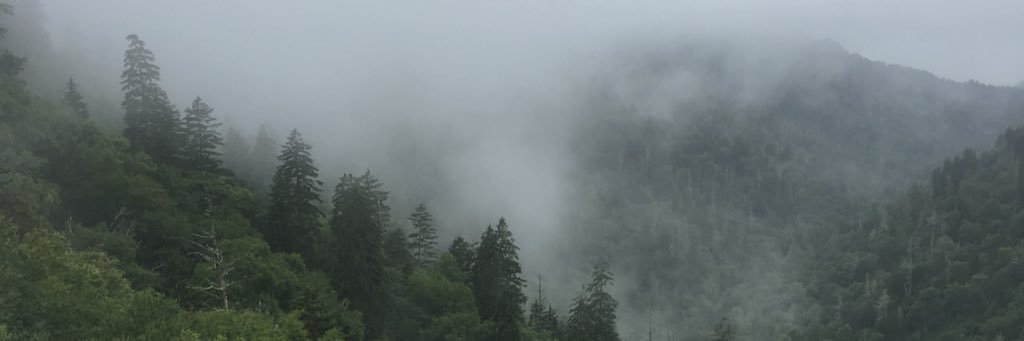 azuredoc's profile banner image