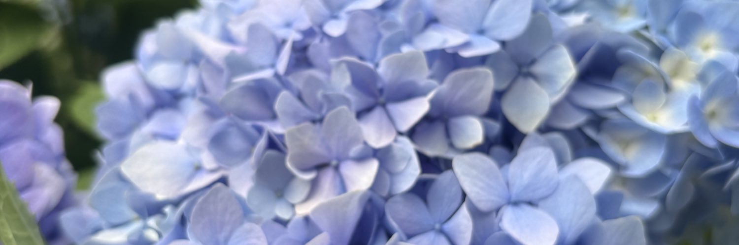 riko_05099's profile banner image